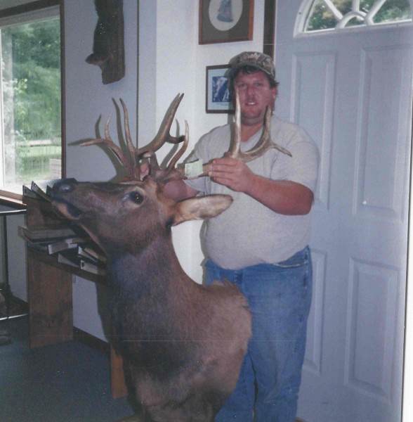 Colorado Elk Mounted by Kline's Taxidermy