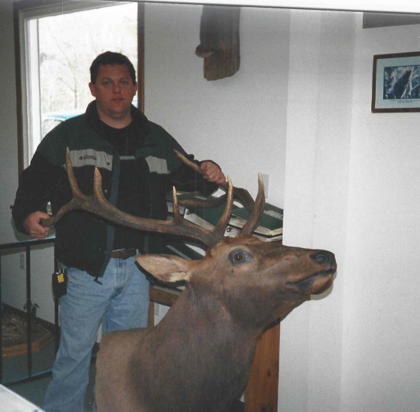 Montana Elk Mount by Kline's Taxidermy