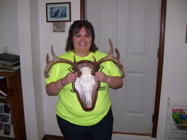 European Whitetail Deer Mount