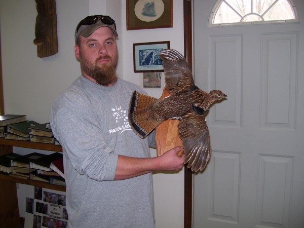 Ruffed Grouse