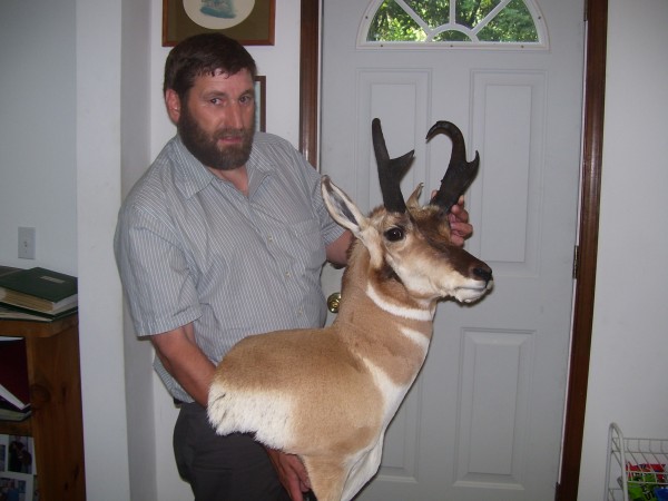 Wyoming Wall Pedestal Antelope