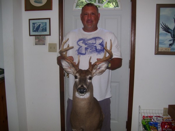 Deer Shoulder Mount