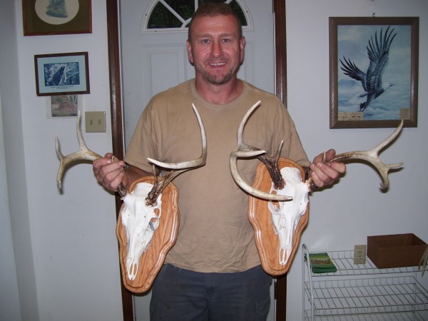 European Whitetail Mounts