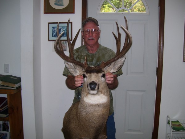 Montana Mule Deer