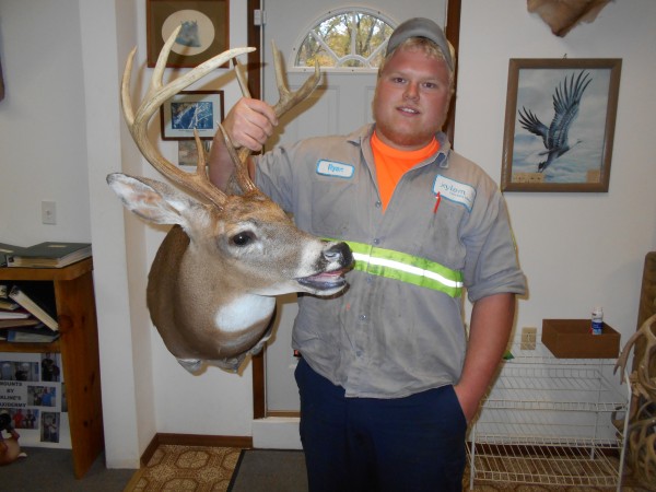 Open Mouth Whitetail Deer Mount