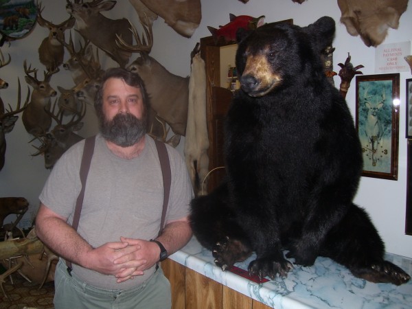 Sitting Black Bear Mount