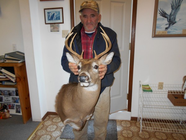 Maryland Whitetail