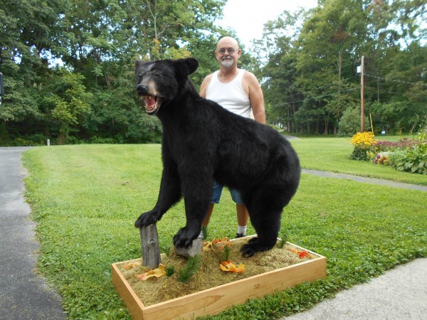 Maryland Trophy Black Bear