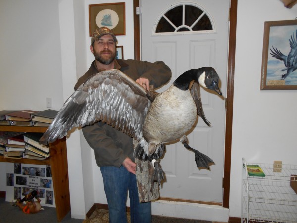 Goose Mount