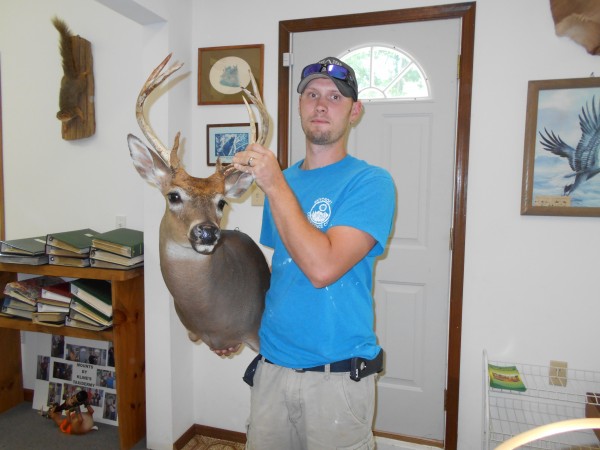 Early Season Whitetail Buck