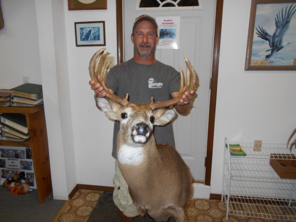 Heavy Antlered Mountain Buck