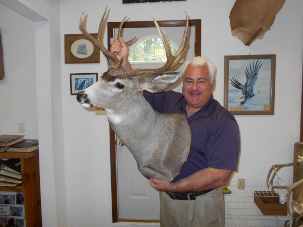 Colorado Muley