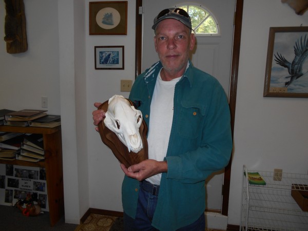 Black Bear Skull