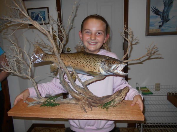 Pedestal Brown Trout