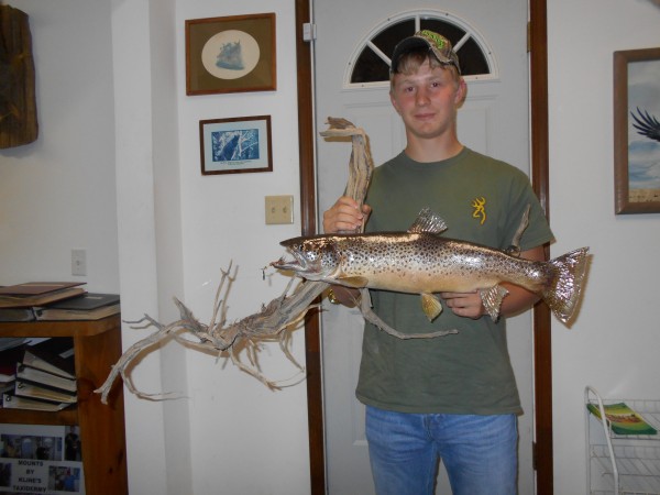 23 inch Brown Trout