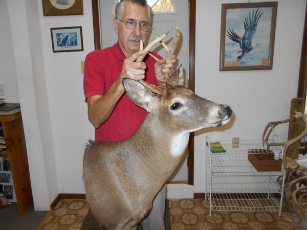 Virginia Whitetail Buck