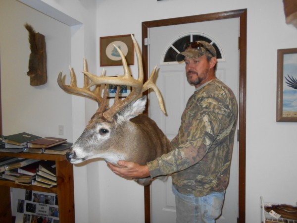 Iowa Droptine Whitetail