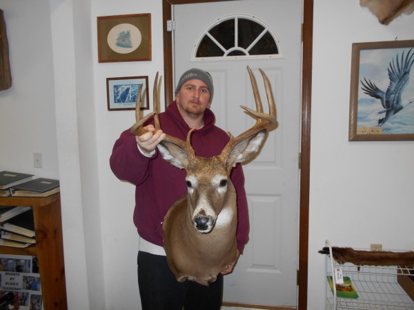 Montgomery County, MD 8 Point Whitetail