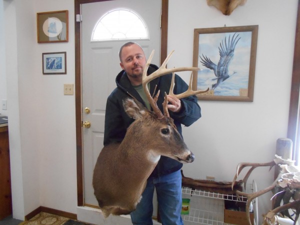 Aggressive Whitetail Mount