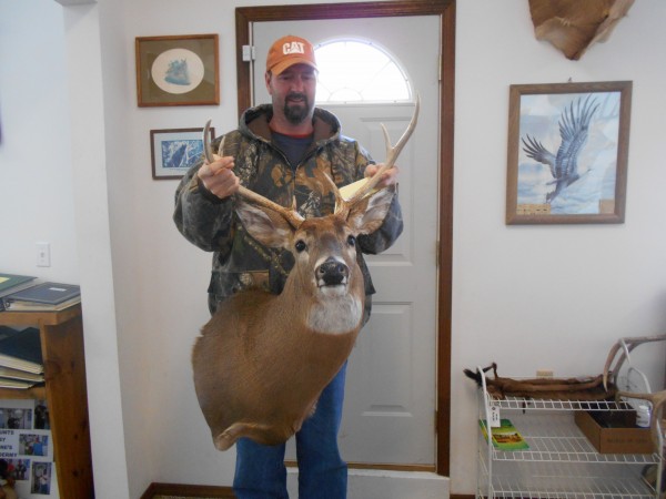 Wide Rack 6 Point Whitetail Deer