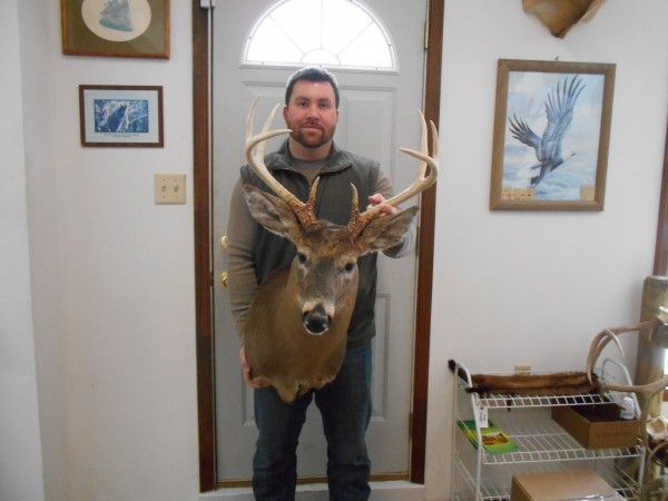 Big Whitetail Buck