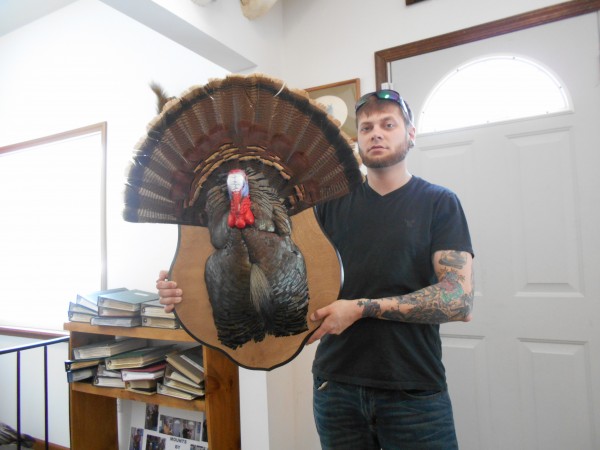 Eastern Gobbler Half Mount