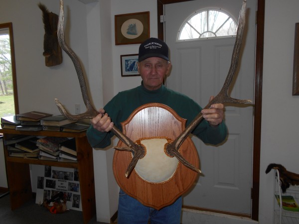 Elk Antler Mount