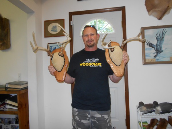 Whitetail Antler Mounts