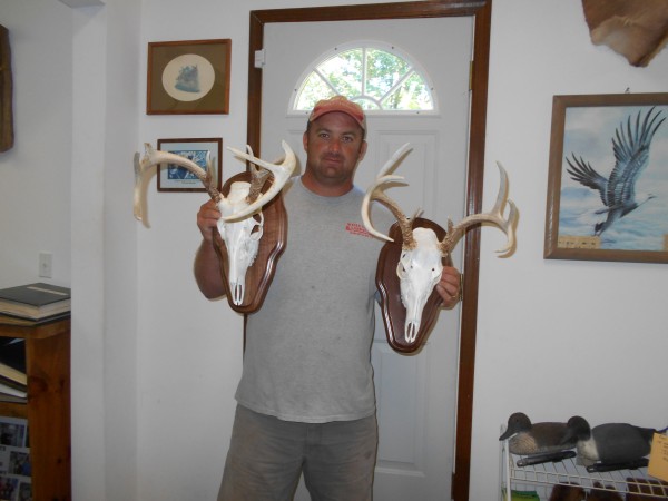 European Whitetail Mounts