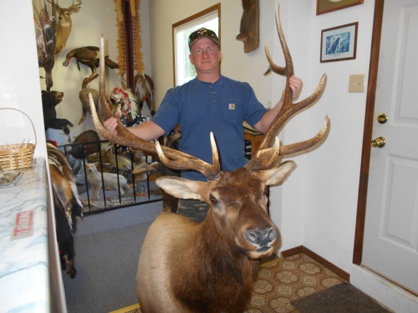 Wyoming Trophy Elk