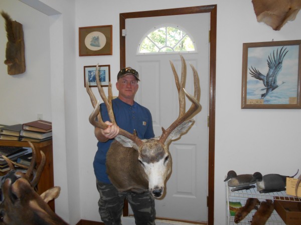 Trophy Wyoming Mule Deer