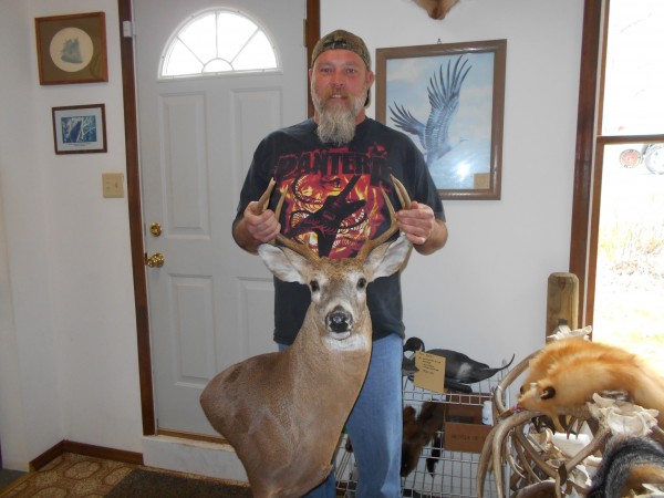 Wall Pedestal Whitetail Mount