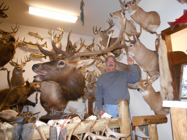 Pedestal Elk Mount