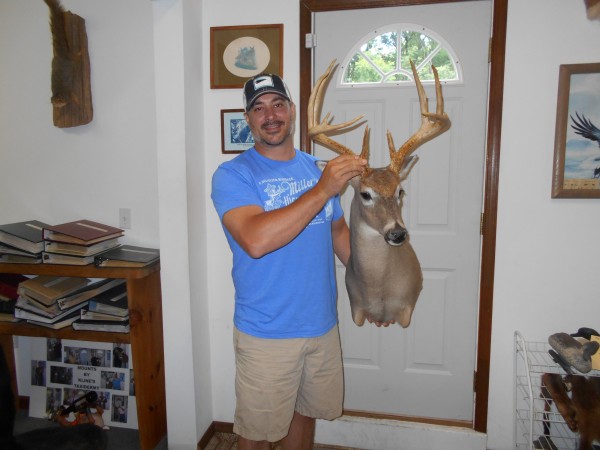 Aggressive Whitetail Mount