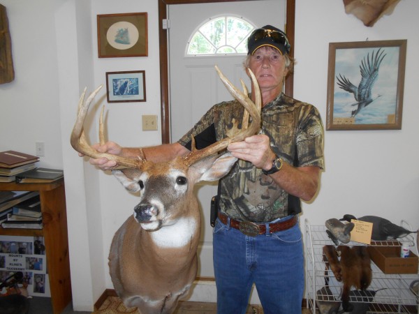 Wide Whitetail Buck