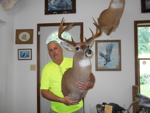 Allegany County Whitetail Buck