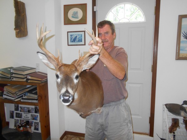 Full Sneak Whitetail Mount